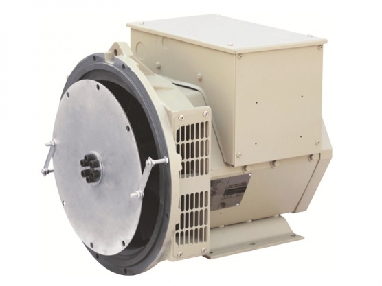 164 Serisi Fırçasız Senkron AC Alternatör 